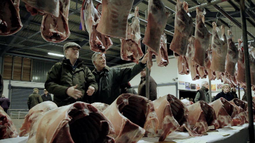 Ashford Cattle Market, December 2011.